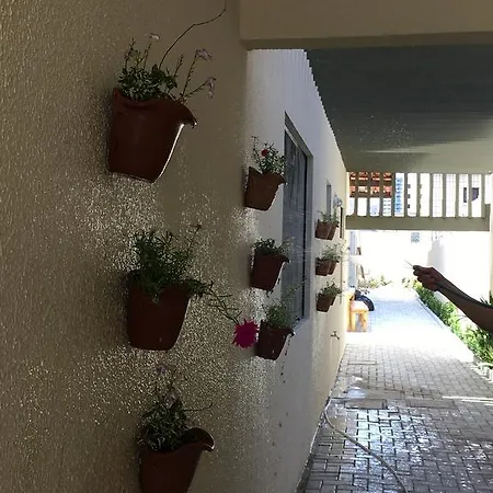 Viver E Viajar